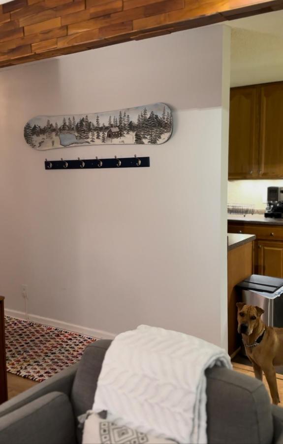 Beaver Creek 2 Bed 2 Bath Condo 1 Min Walk To Elk Lot Ейвън Екстериор снимка